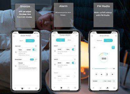 Skanto | Smart Wake-Up Light with App – Soluna