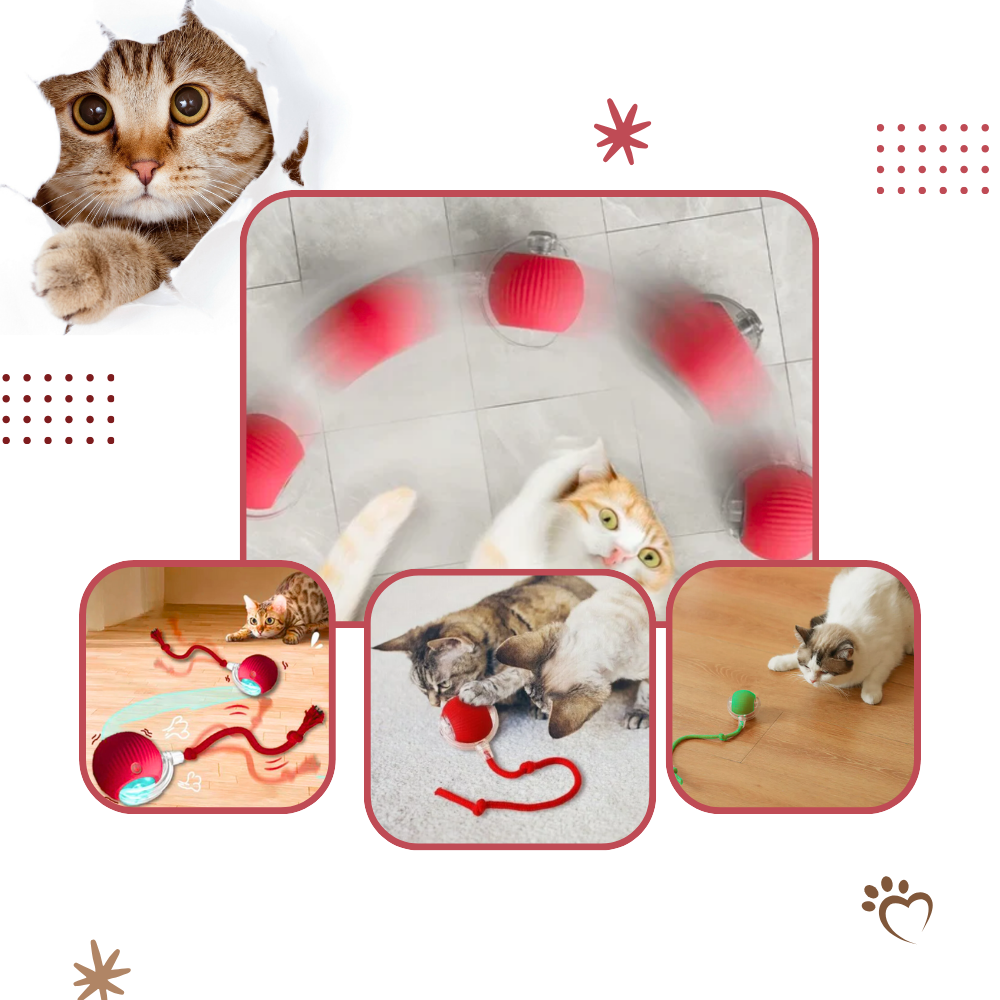 Smart, Interactive Cat Ball Toy