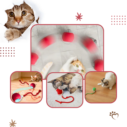 Smart, Interactive Cat Ball Toy