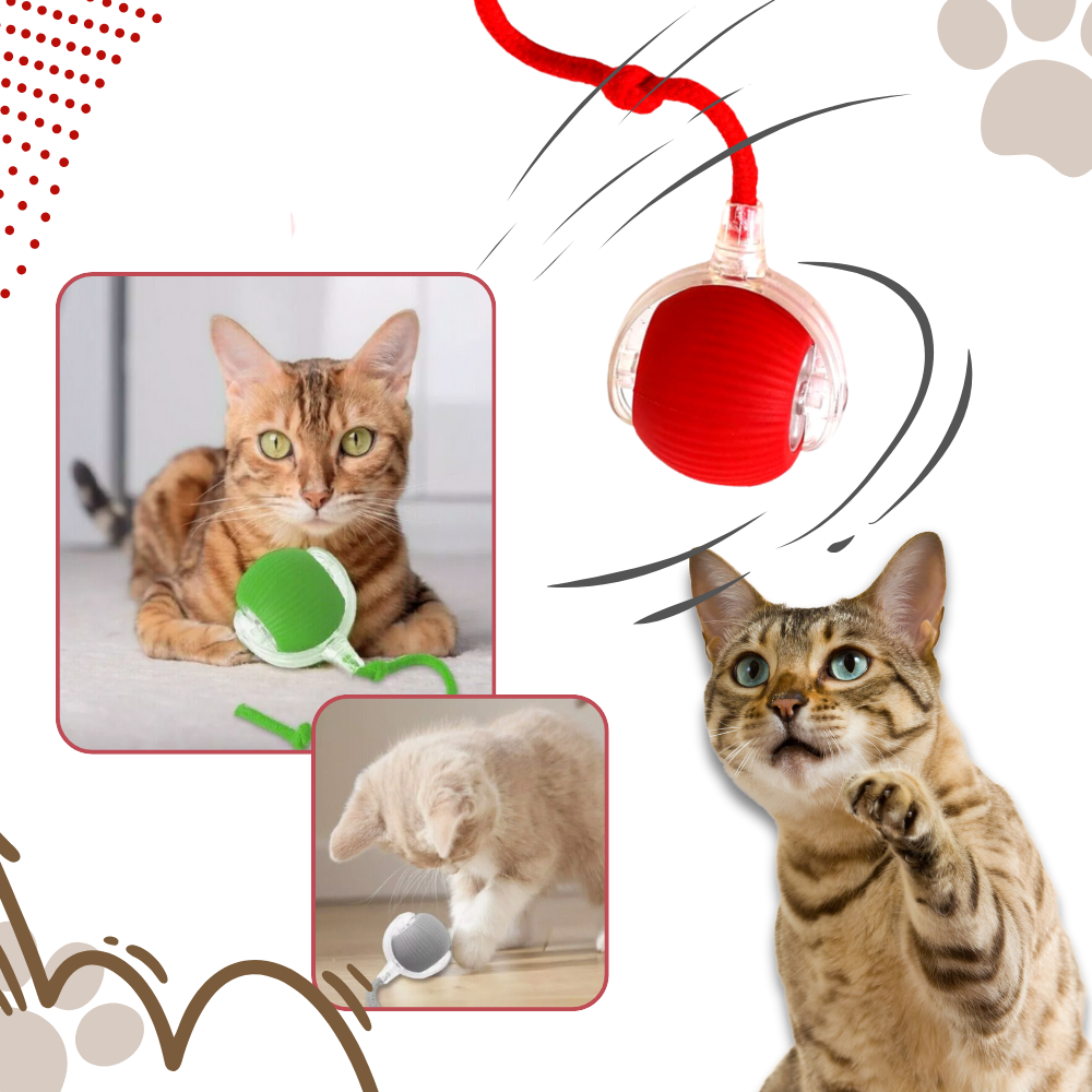 Smart, Interactive Cat Ball Toy