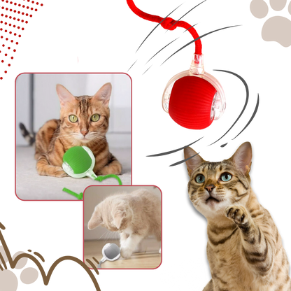 Smart, Interactive Cat Ball Toy