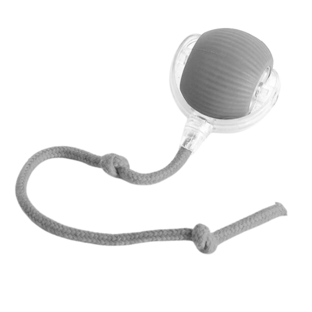 Smart, Interactive Cat Ball Toy