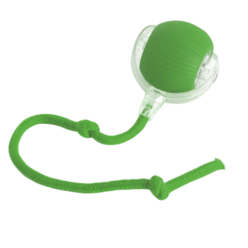 Smart, Interactive Cat Ball Toy
