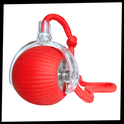 Smart, Interactive Cat Ball Toy