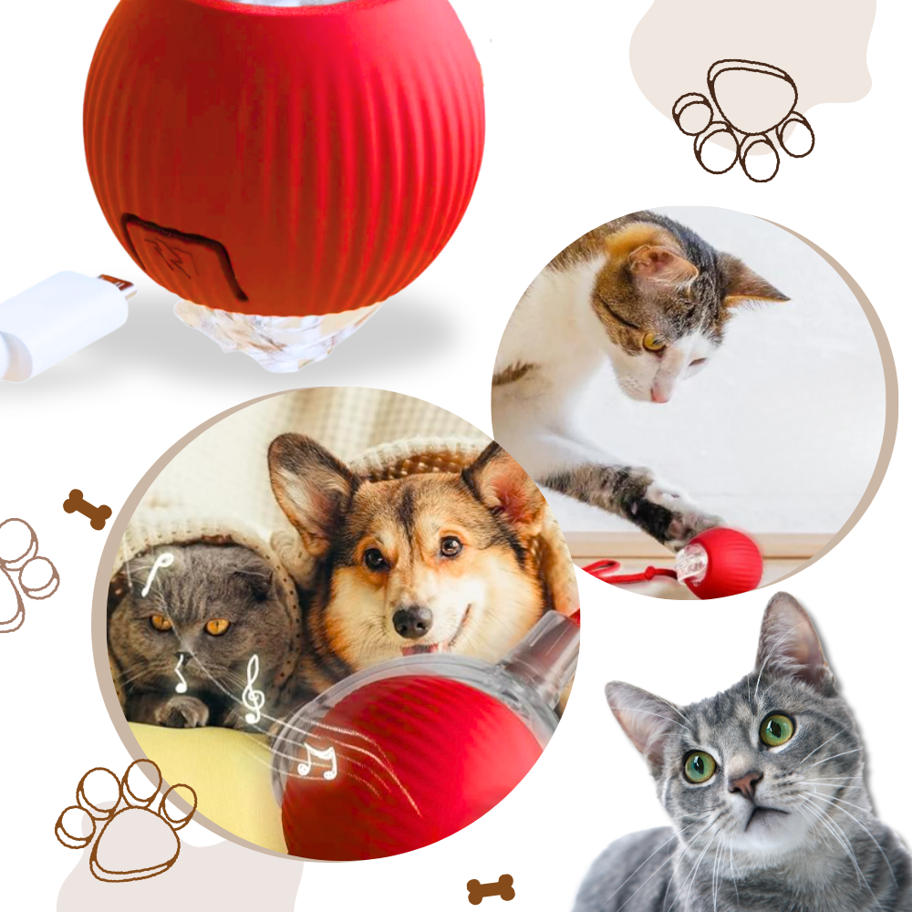Smart, Interactive Cat Ball Toy