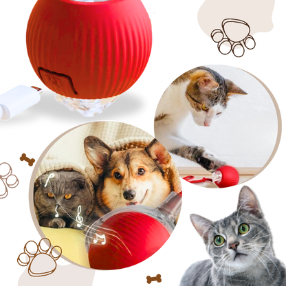 Smart, Interactive Cat Ball Toy