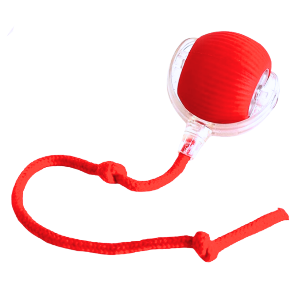 Smart, Interactive Cat Ball Toy