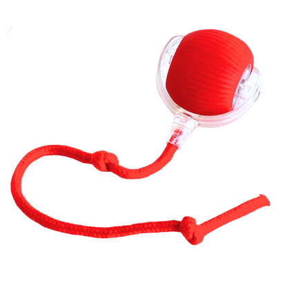Smart, Interactive Cat Ball Toy