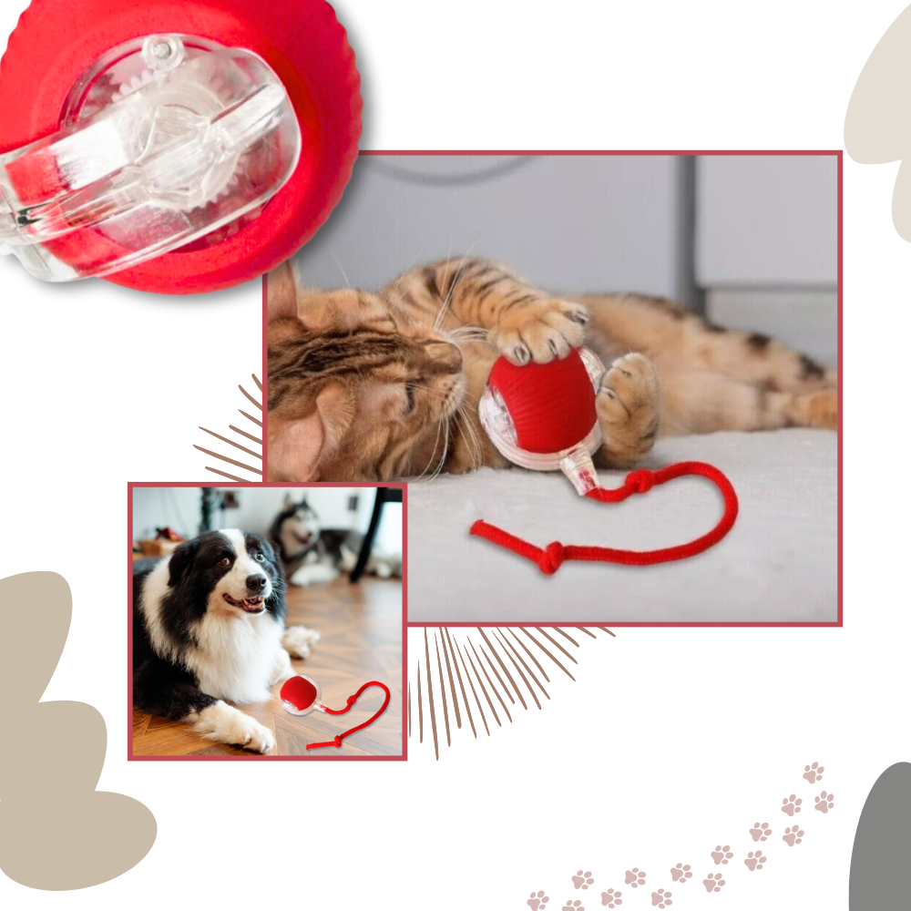Smart, Interactive Cat Ball Toy