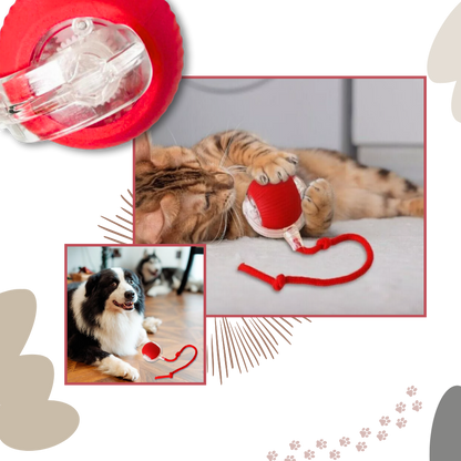 Smart, Interactive Cat Ball Toy