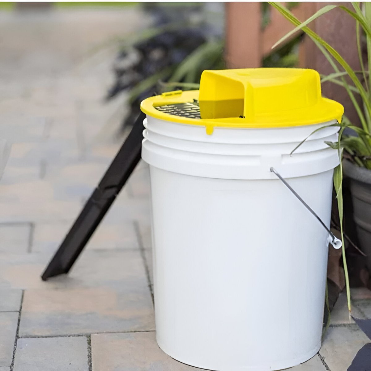 BowLift | Smart Mouse Trap | Hands-Free, Safe for Families & Pets, Multiple Capture Design for Effective Rodent Control