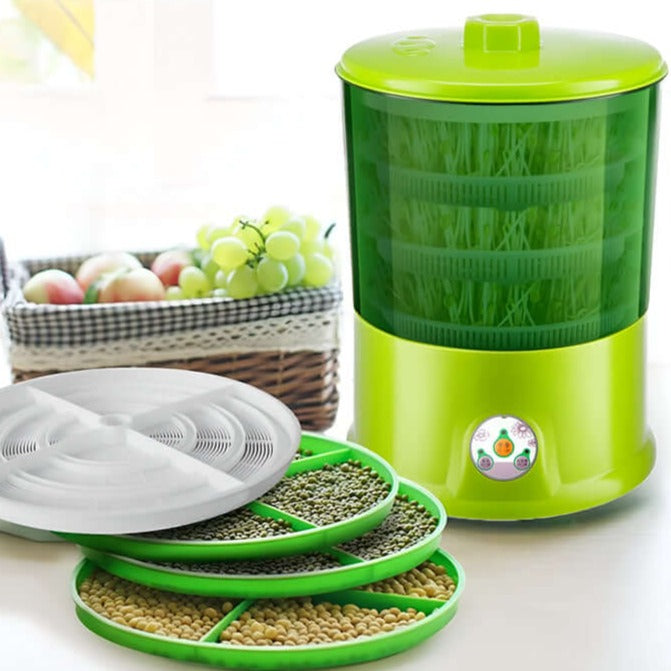 Skanto Skanto | Effective Sprout Growing Kit for Healthy and Fresh Growth