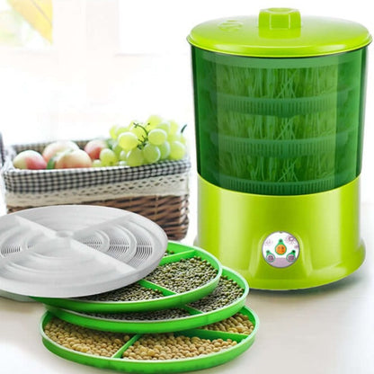 Skanto Skanto | Effective Sprout Growing Kit for Healthy and Fresh Growth