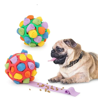 Skanto | SnuffleMaster Interactive Treat Ball – Foraging and Enrichment Toy
