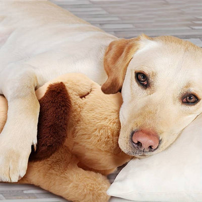 Skanto | Snuggle Puppy - Anxiety and Loneliness Reducing Stuffed Animal