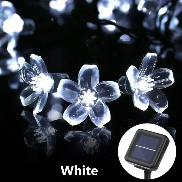 BowLift | Solar Honey Bee String Lights - Waterproof Lights for Garden, Christmas, Wedding, Party Outdoor Lighting