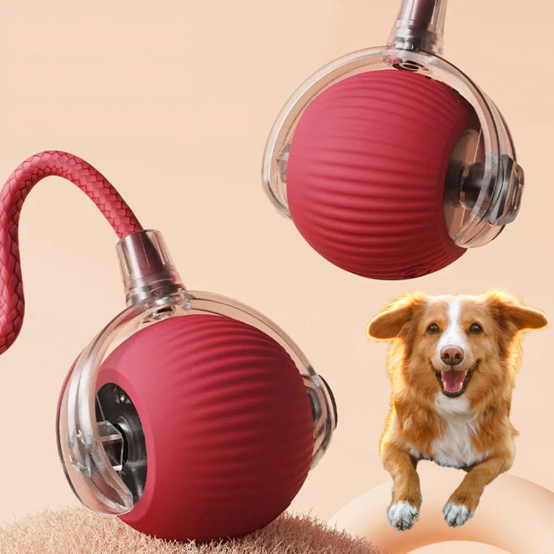 Skanto | Interactive Rolling Ball Toy with Tail for Dogs