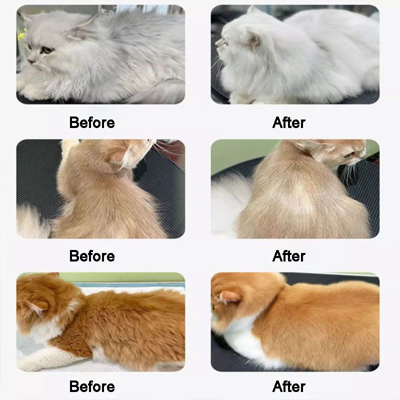 Skanto Skanto | Pet Shiny and Smooth Hair Care Conditioner