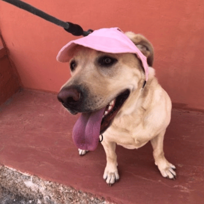 Skanto | Dog Hat