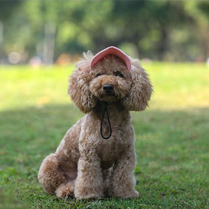 Skanto | Dog Hat