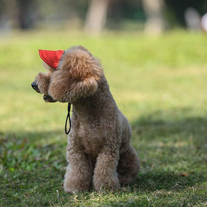 Skanto | Dog Hat