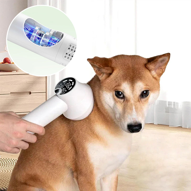BowLift | Low Noise Pet Hair Dryer with Slicker Brush