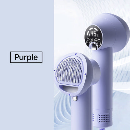 BowLift | Low Noise Pet Hair Dryer with Slicker Brush