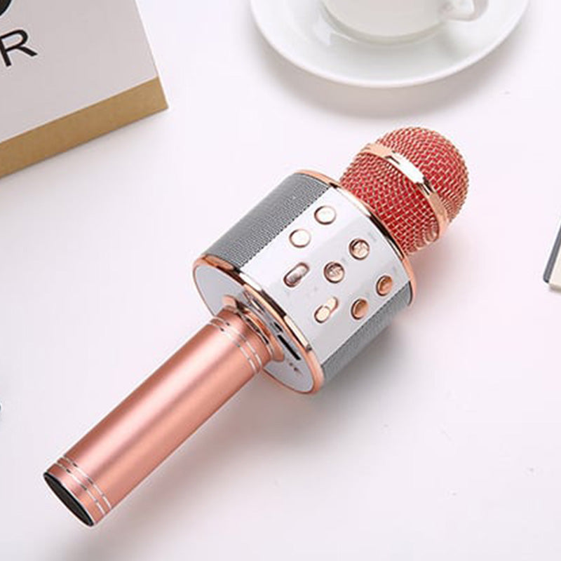 Skanto | Sing Anywhere: The Ultimate Wireless Karaoke Microphone!