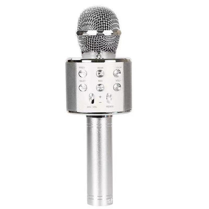 Skanto | Sing Anywhere: The Ultimate Wireless Karaoke Microphone!