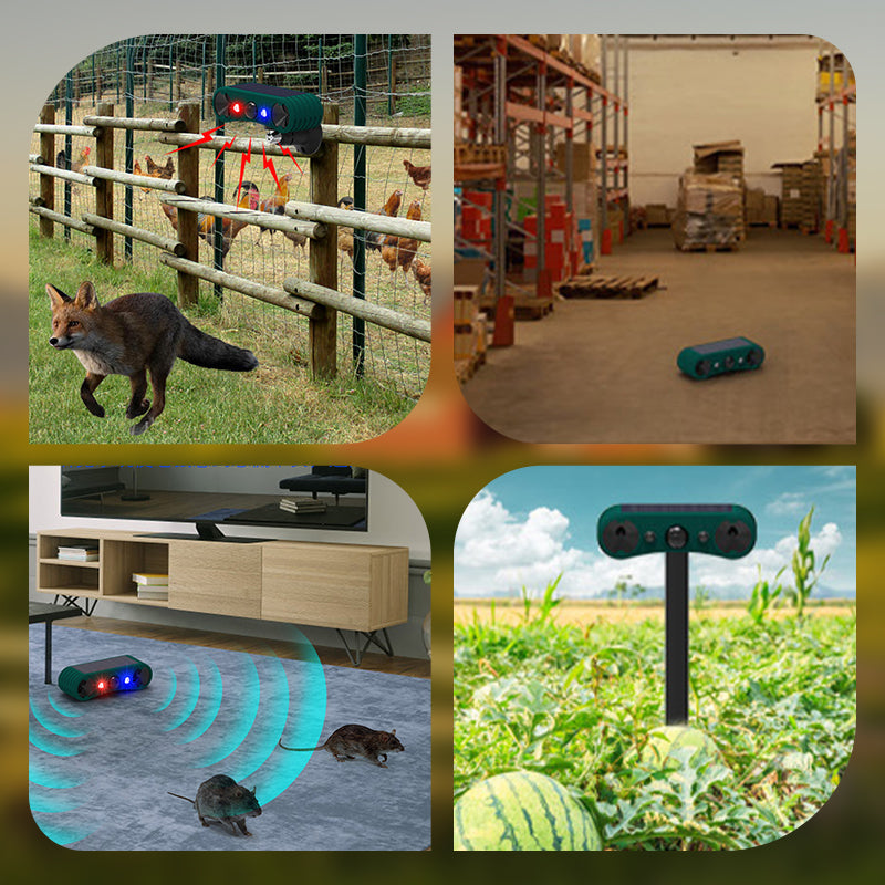 BowLift | Solar motion sensor outdoor alarms for deterrence