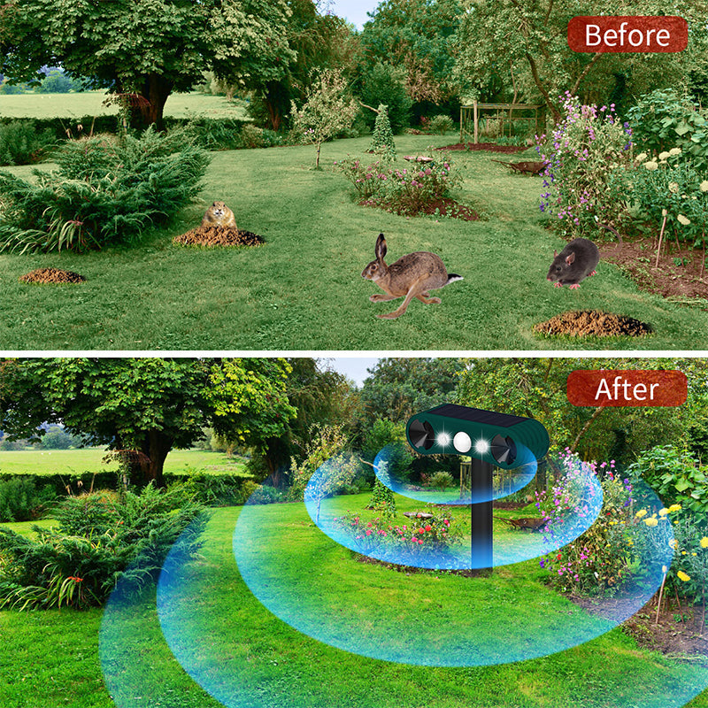 BowLift | Solar motion sensor outdoor alarms for deterrence