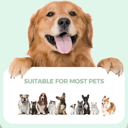 Skanto | Multifunctional Rechargeable Pet Grooming Clipper with Low Noise
