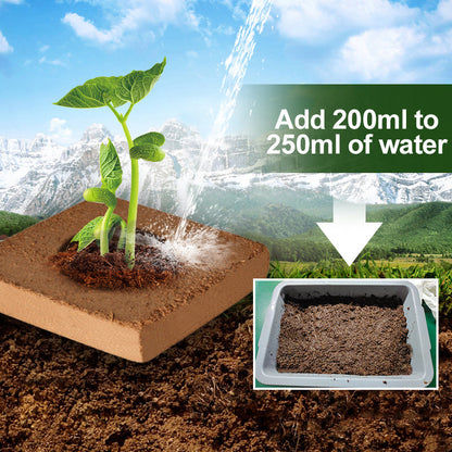 Skanto | The Best Gardening Gift - Organic Coconut Fiber for Plants