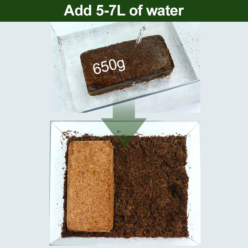 Skanto | The Best Gardening Gift - Organic Coconut Fiber for Plants
