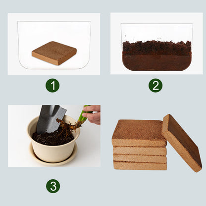 Skanto | The Best Gardening Gift - Organic Coconut Fiber for Plants