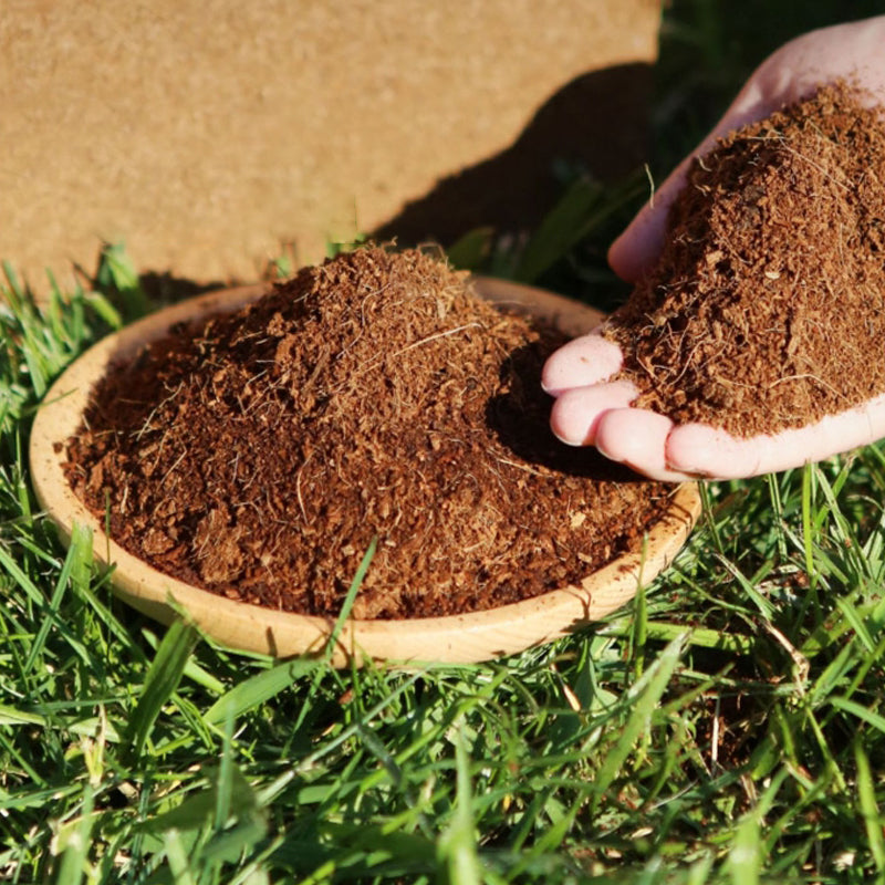 Skanto | The Best Gardening Gift - Organic Coconut Fiber for Plants