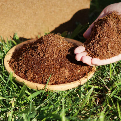 Skanto | The Best Gardening Gift - Organic Coconut Fiber for Plants