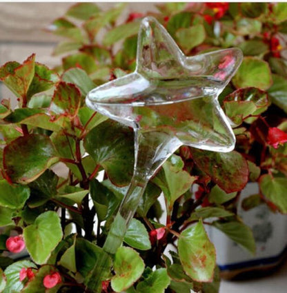 BowLift | Self-Watering Plant Bulb