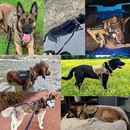 Skanto | Guardian K9 – Adjustable Dog Training Harness with Control Handle