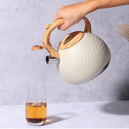 Tea kettle with Anti-Scald Handle Stainless Steel Whistling Kettle | Bowlift
