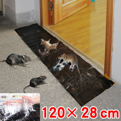 BowLift | TRAPZONE MAX – Large Non-Toxic Sticky Trap for Effective Pest Control