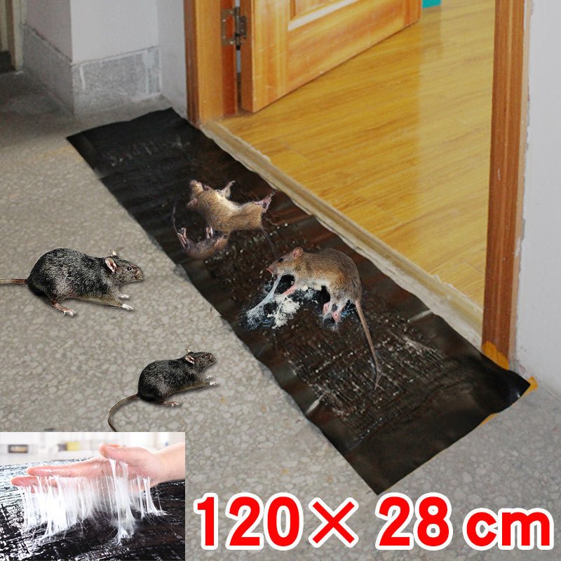 TRAPZONE MAX – Large, non-toxic glue trap for effective pest control