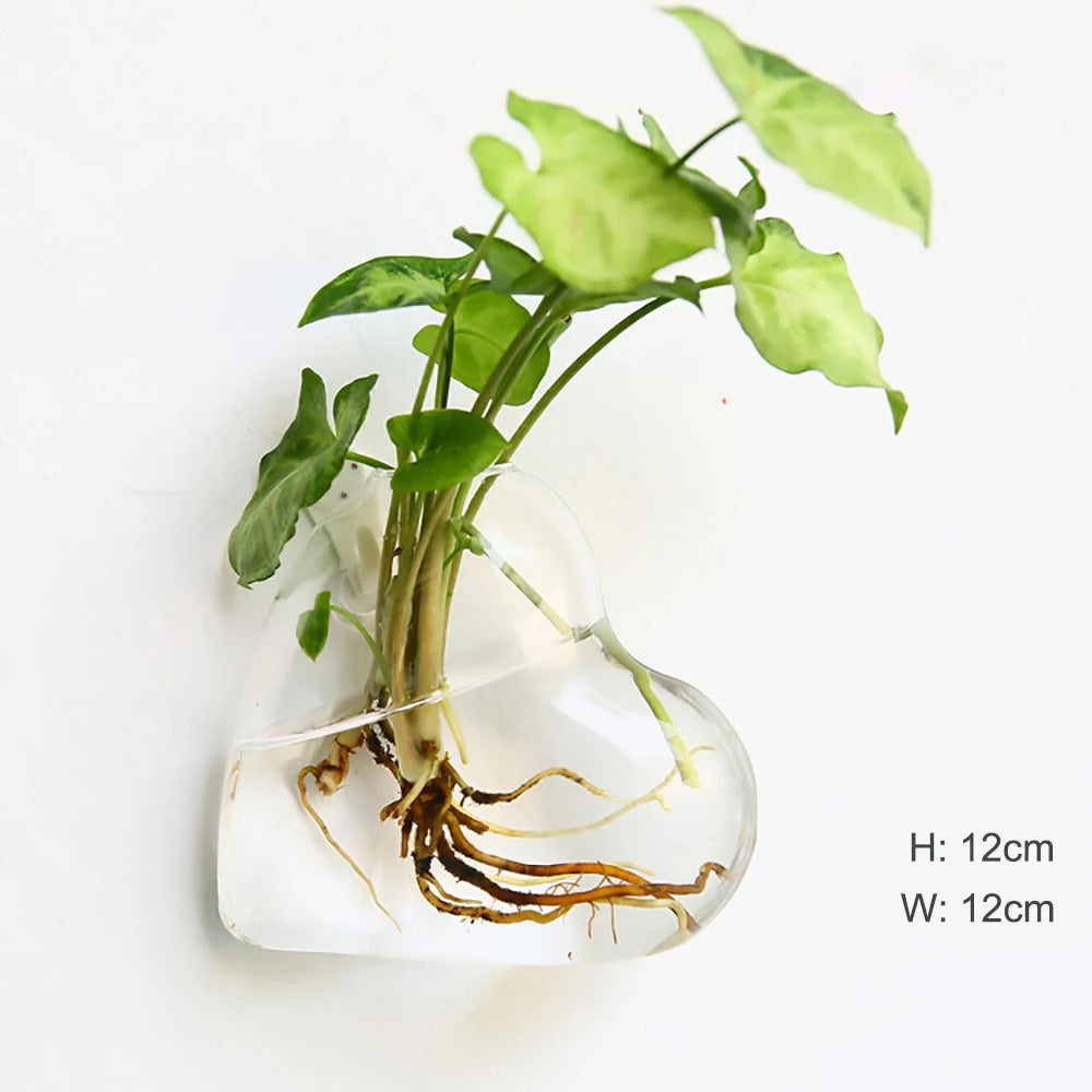 Skanto | Glass Wall Vase