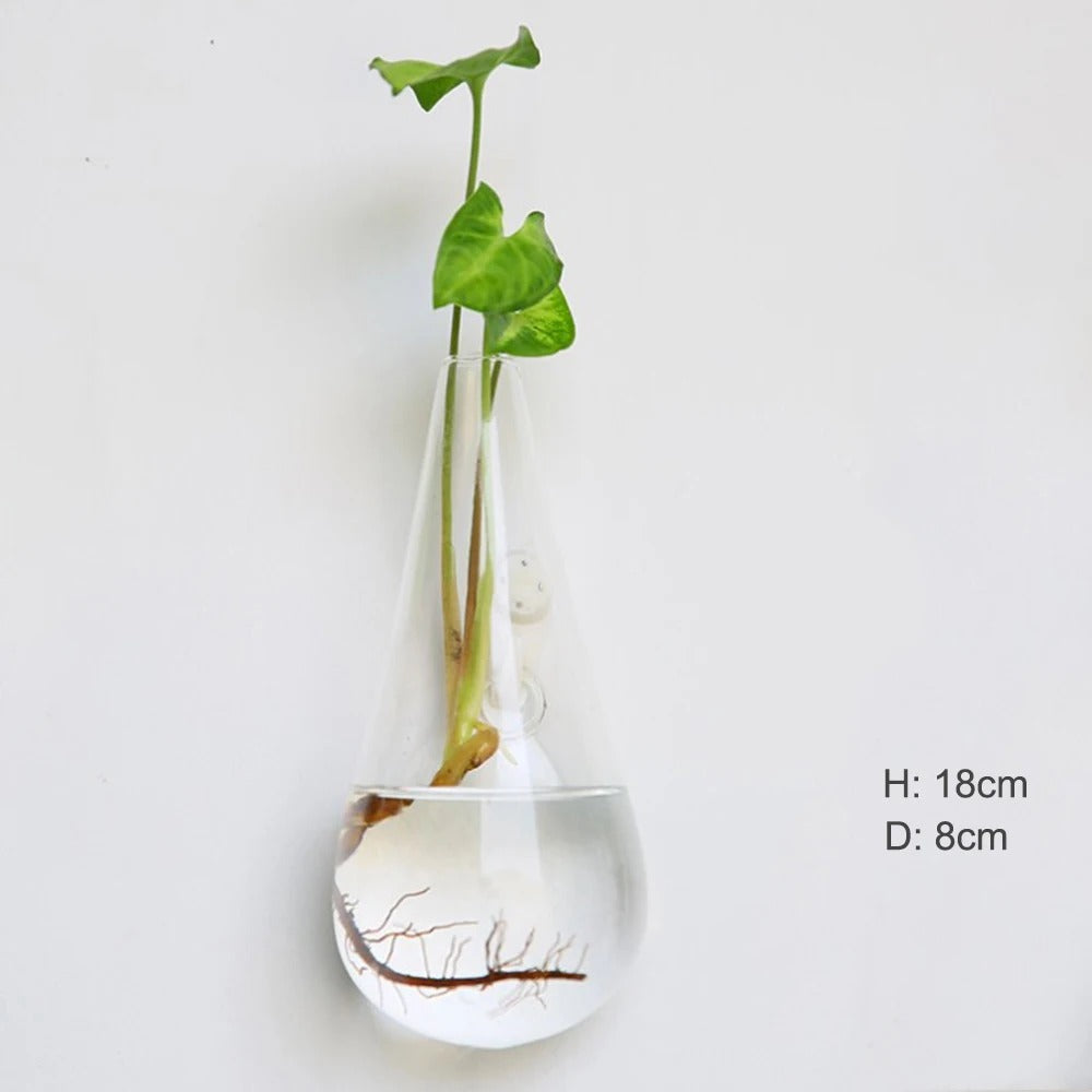 Skanto | Glass Wall Vase