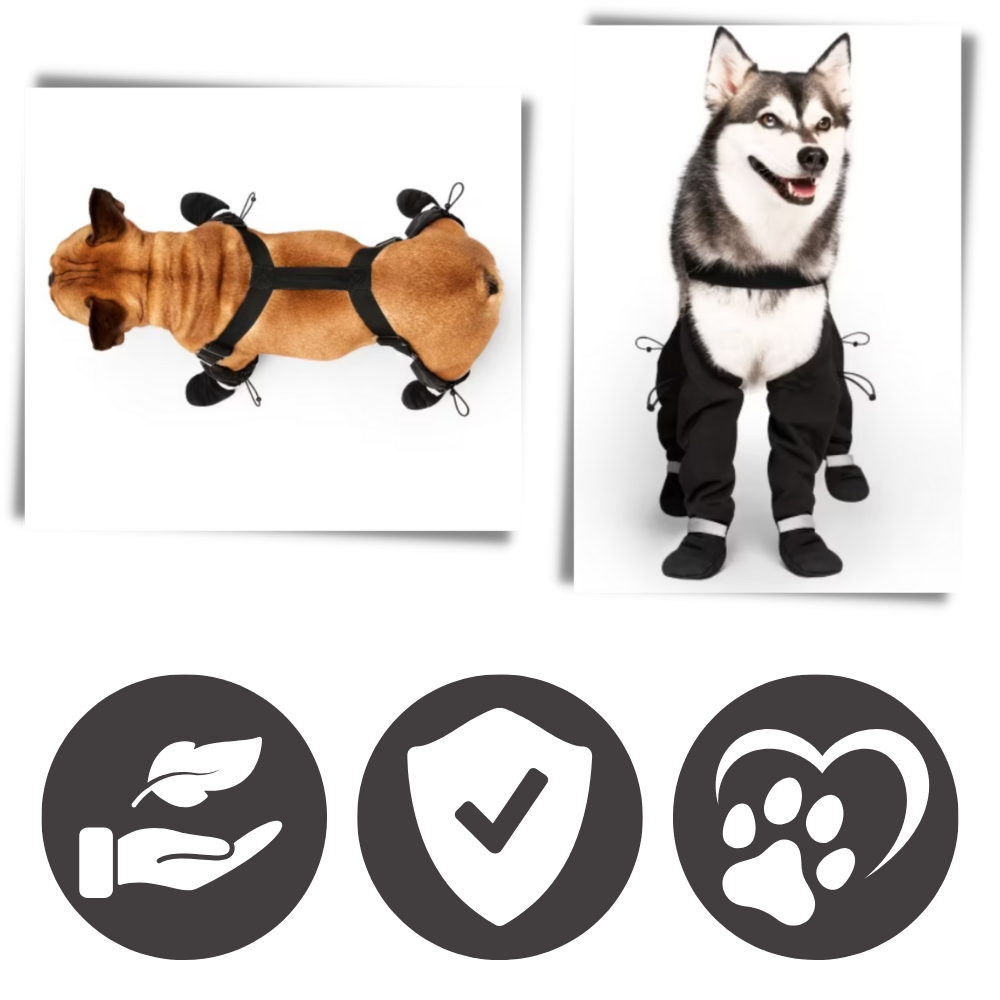 Waterproof Dog Boots with Suspenders