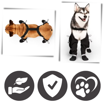 Waterproof Dog Boots with Suspenders