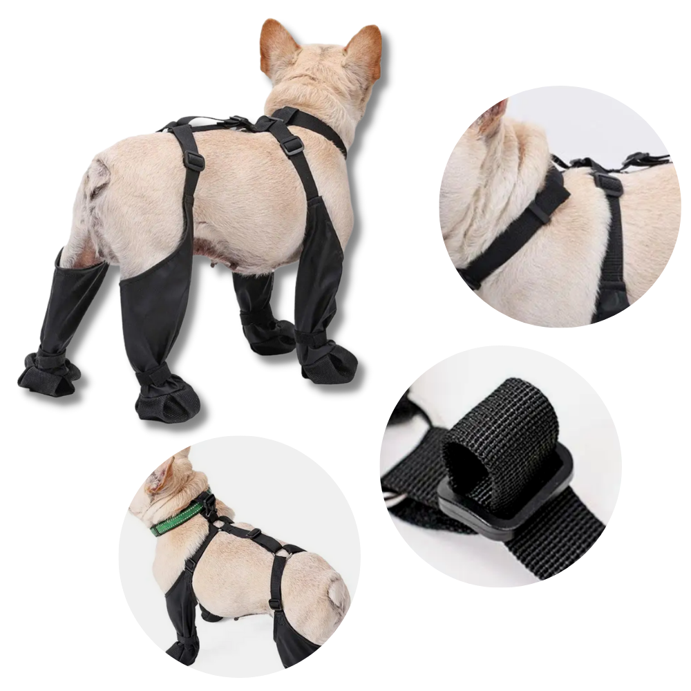 Waterproof Dog Boots with Suspenders