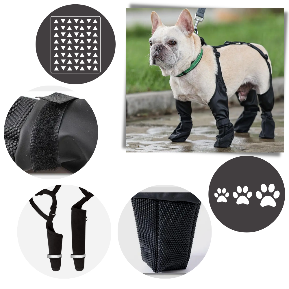 Waterproof Dog Boots with Suspenders