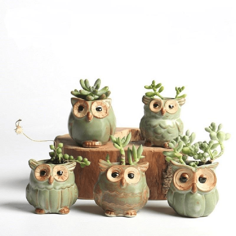 Skanto | Owl Ceramic Flower Pot Set 5-Piece