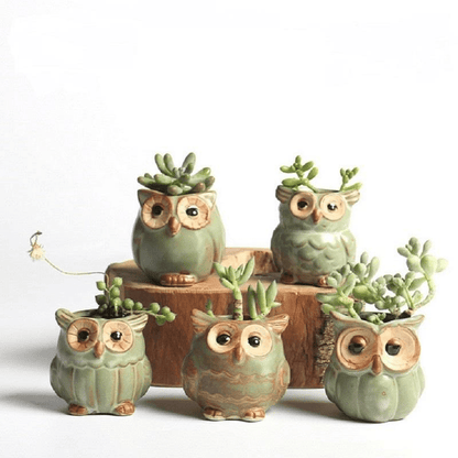 Skanto | Owl Ceramic Flower Pot Set 5-Piece